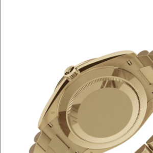 RLX Day-Date 40mm 228398TBR-0003 Champagne Dial President Watch