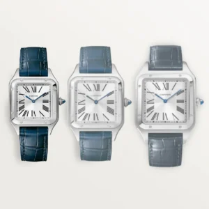 CARTIER SANTOS-DUMONT Small Model Blue Strap WSSA0023 - United Luxury